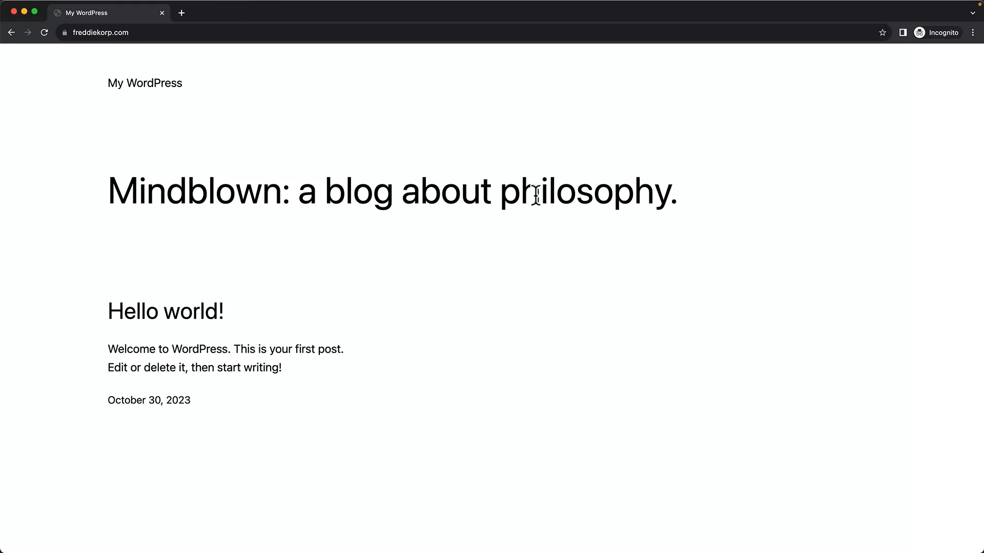 WordPress website front end visible to website visitors
