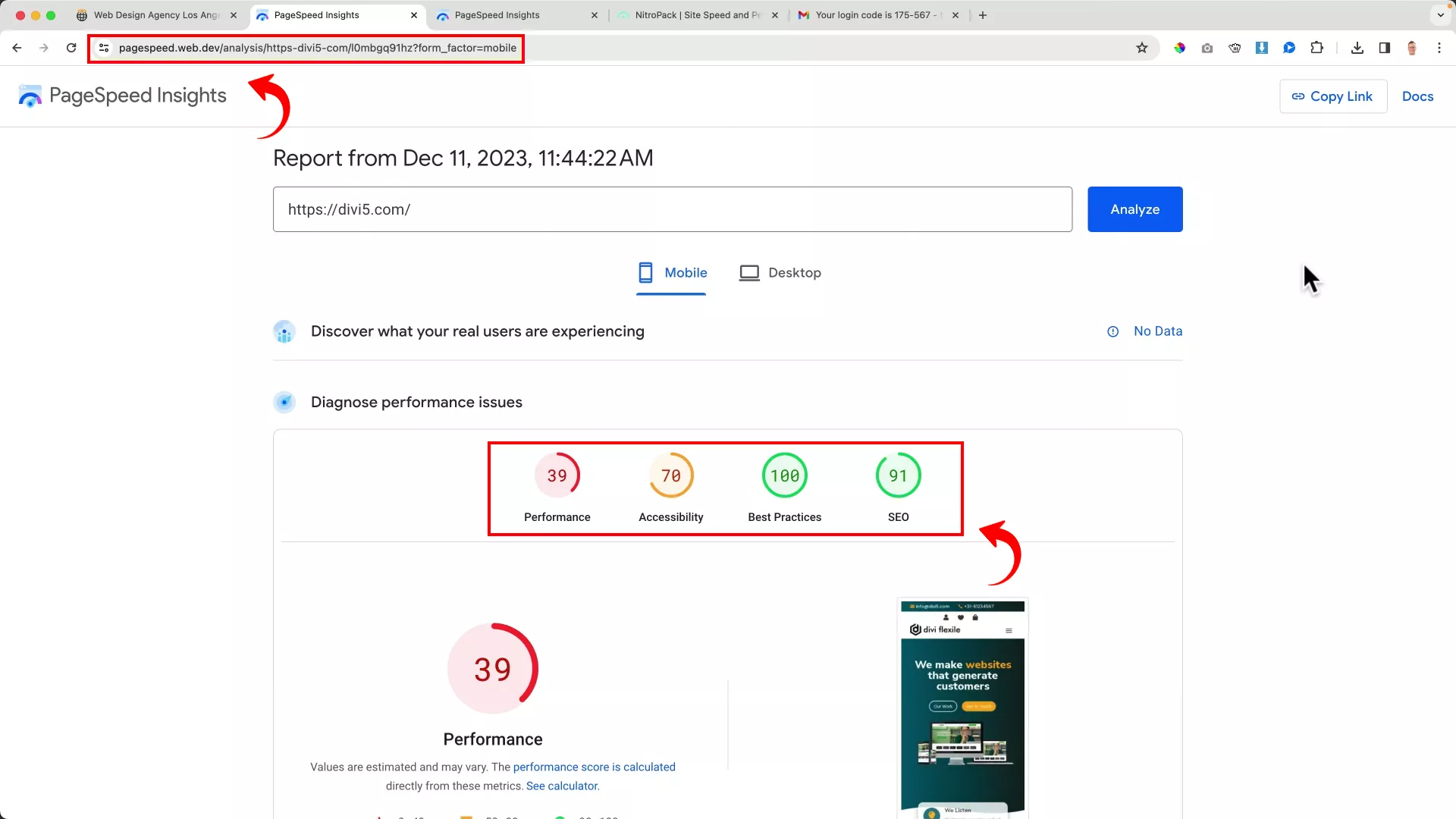 ecommerce website Google PageSpeed Insights report before installing NitroPack