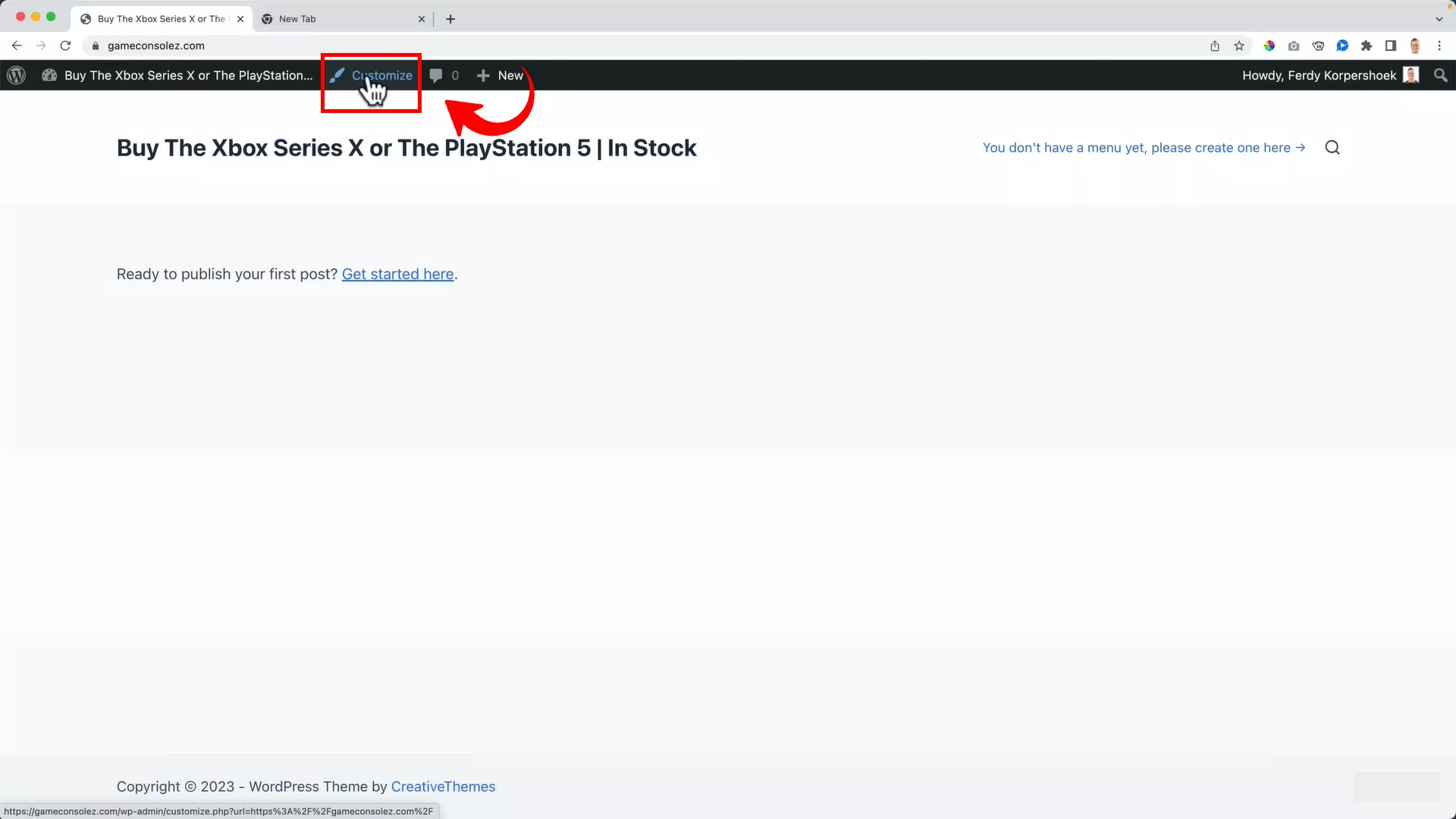 customize option on WordPress
