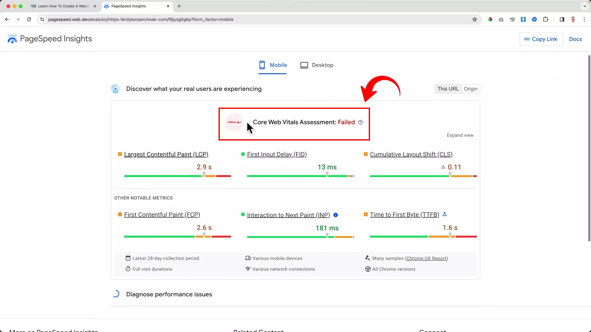 Google PageSpeed Insights Core Web Vitals assessment