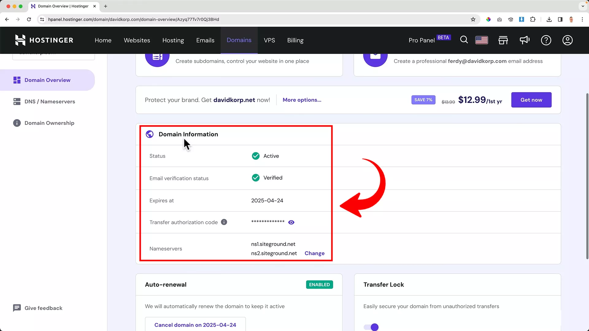Change domain nameserver on hostinger